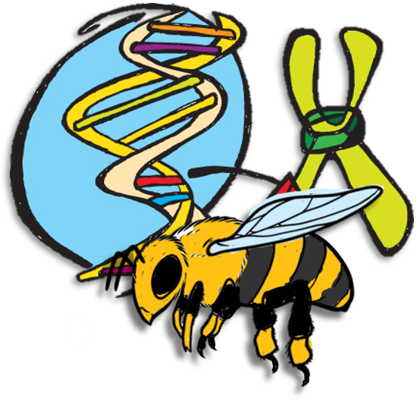 Actualización en Mejoramiento Genético de las abejas