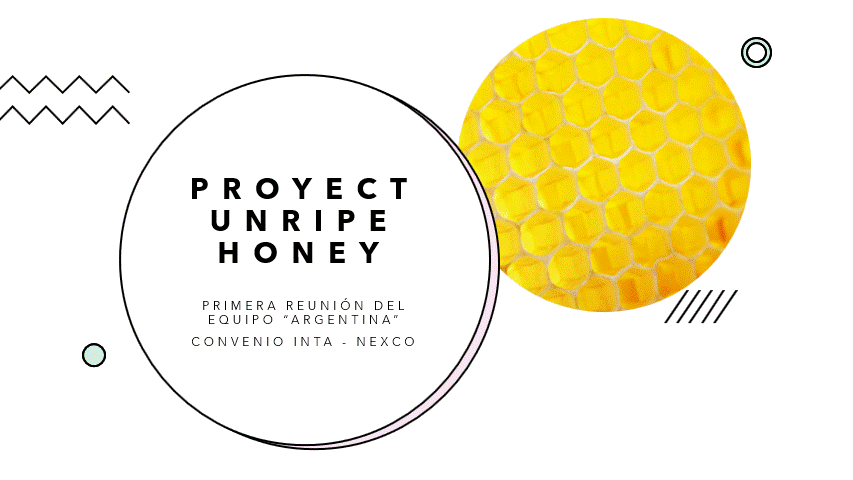 Proyecto de miel inmadura 
